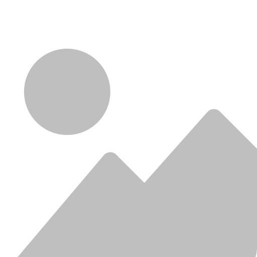 Sr. Project Manager